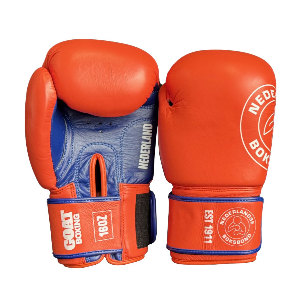 nbb-handschoenen-voor